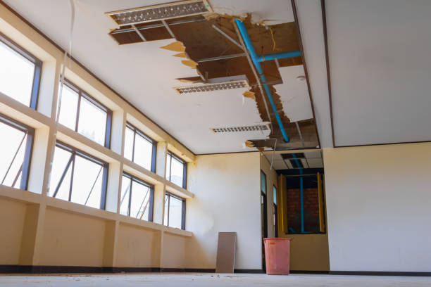  Craigsville, WV Water damage restoration Pros