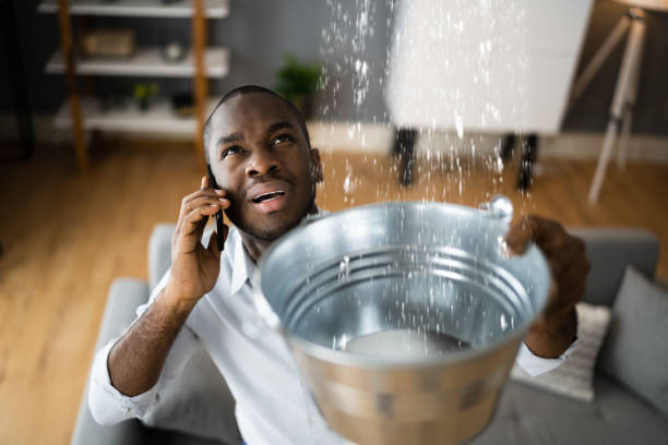 Best Water damage restoration near me  in Craigsville, WV