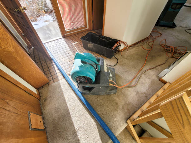 Best Professional water damage repair  in Craigsville, WV