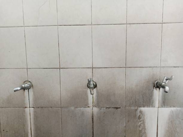 Best Carpet water damage restoration  in Craigsville, WV