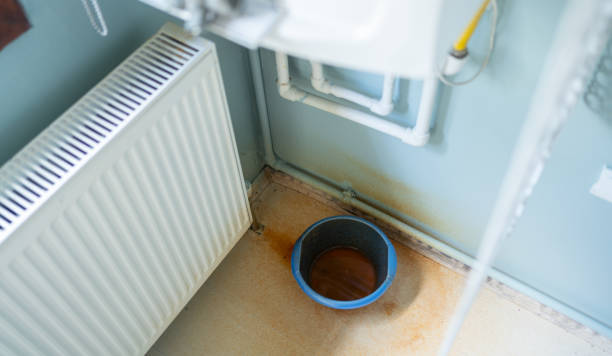 Best Water damage restoration near me  in Craigsville, WV