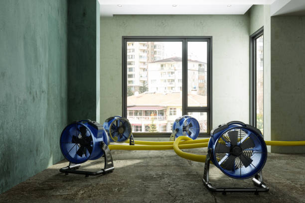Best Carpet water damage restoration  in Craigsville, WV